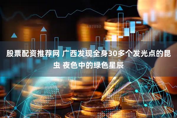 股票配资推荐网 广西发现全身30多个发光点的昆虫 夜色中的绿色星辰