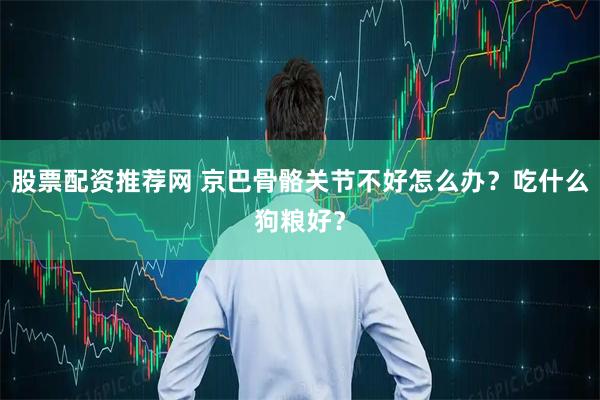 股票配资推荐网 京巴骨骼关节不好怎么办？吃什么狗粮好？