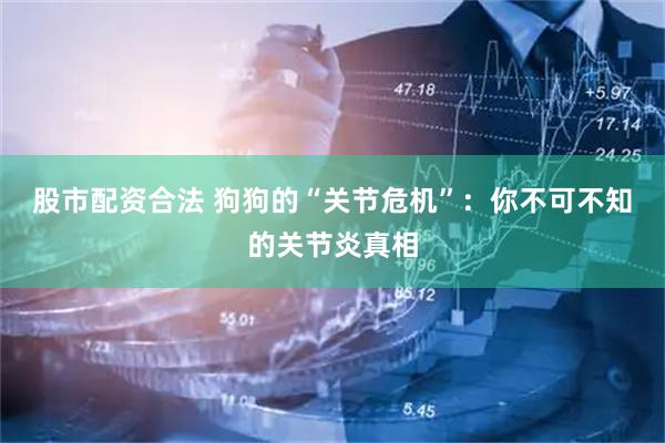 股市配资合法 狗狗的“关节危机”：你不可不知的关节炎真相