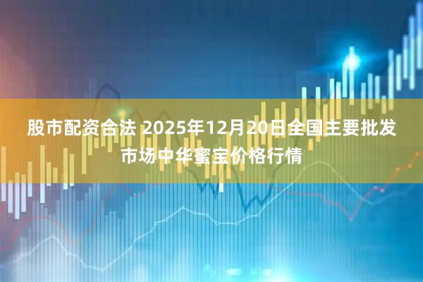 股市配资合法 2025年12月20日全国主要批发市场中华蜜宝价格行情