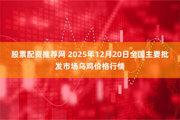 股票配资推荐网 2025年12月20日全国主要批发市场乌鸡价格行情