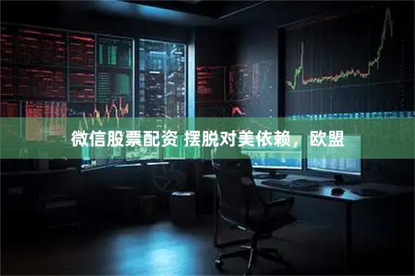 微信股票配资 摆脱对美依赖,欧盟